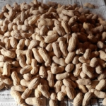 Thumbnail of post image 042